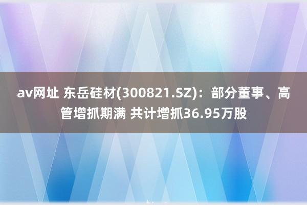 av网址 东岳硅材(300821.SZ)：部分董事、高管增抓期满 共计增抓36.95万股