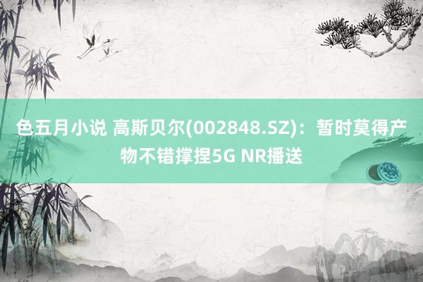 色五月小说 高斯贝尔(002848.SZ)：暂时莫得产物不错撑捏5G NR播送