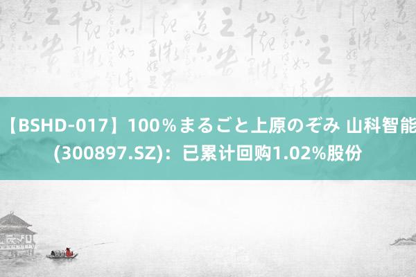 【BSHD-017】100％まるごと上原のぞみ 山科智能(300897.SZ)：已累计回购1.02%股份