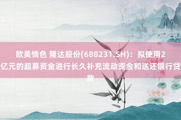 欧美情色 隆达股份(688231.SH)：拟使用2.8亿元的超募资金进行长久补充流动资金和送还银行贷款