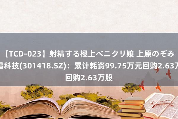 【TCD-023】射精する極上ペニクリ嬢 上原のぞみ 协昌科技(301418.SZ)：累计耗资99.75万元回购2.63万股