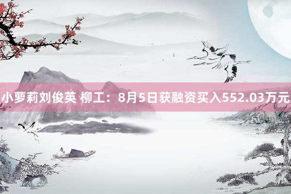 小萝莉刘俊英 柳工：8月5日获融资买入552.03万元