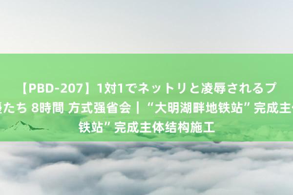 【PBD-207】1対1でネットリと凌辱されるプレミア女優たち 8時間 方式强省会｜“大明湖畔地铁站”完成主体结构施工