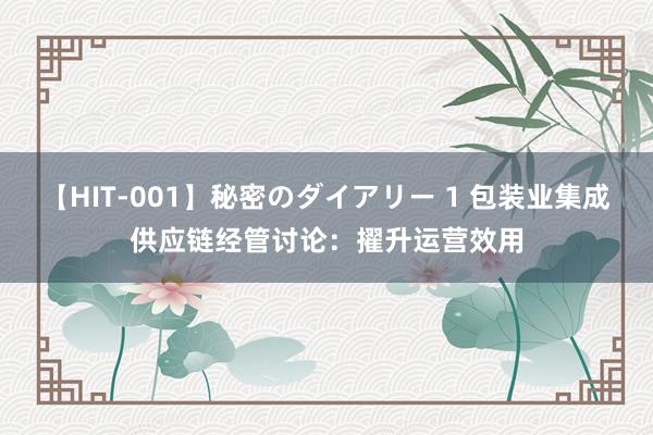 【HIT-001】秘密のダイアリー 1 包装业集成供应链经管讨论：擢升运营效用