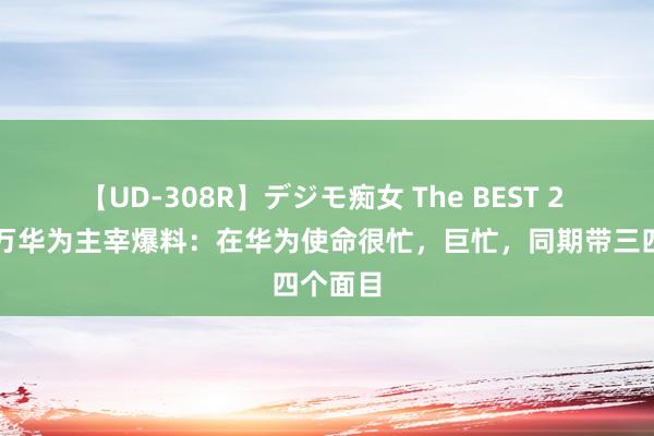 【UD-308R】デジモ痴女 The BEST 2 年薪百万华为主宰爆料：在华为使命很忙，巨忙，同期带三四个面目