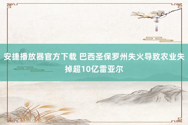 安捷播放器官方下载 巴西圣保罗州失火导致农业失掉超10亿雷亚尔