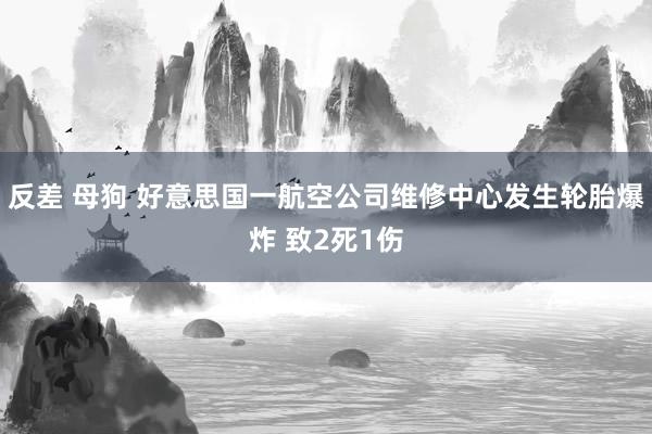 反差 母狗 好意思国一航空公司维修中心发生轮胎爆炸 致2死1伤