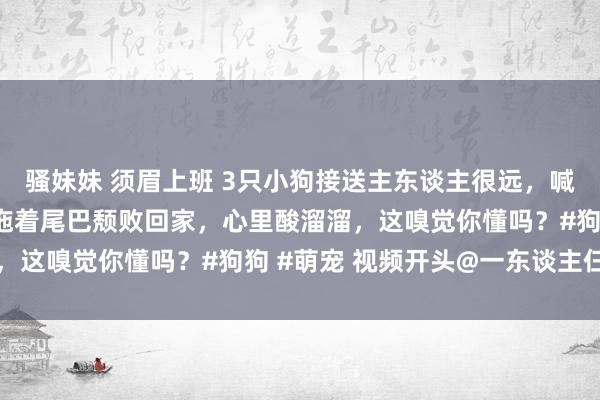 骚妹妹 须眉上班 3只小狗接送主东谈主很远，喊一声“且归”，看它们拖着尾巴颓败回家，心里酸溜溜，这嗅觉你懂吗？#狗狗 #萌宠 视频开头@一东谈主仨狗