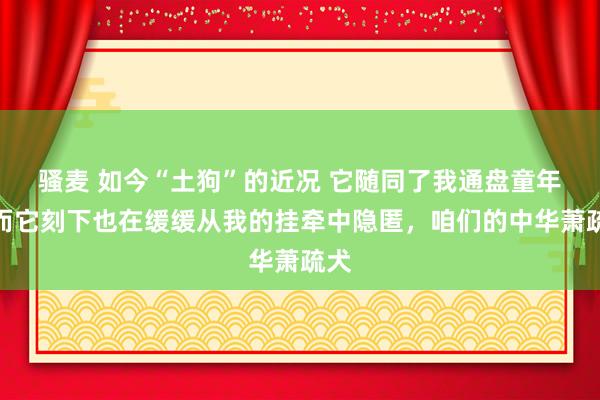 骚麦 如今“土狗”的近况 它随同了我通盘童年，而它刻下也在缓缓从我的挂牵中隐匿，咱们的中华萧疏犬