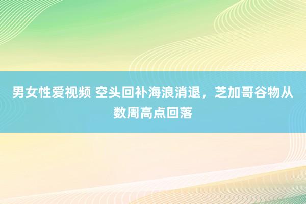 男女性爱视频 空头回补海浪消退，芝加哥谷物从数周高点回落