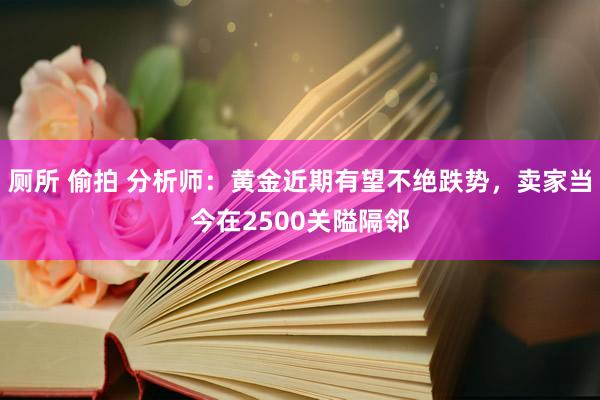 厕所 偷拍 分析师：黄金近期有望不绝跌势，卖家当今在2500关隘隔邻