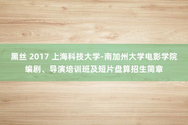 黑丝 2017 上海科技大学-南加州大学电影学院编剧、导演培训班及短片盘算招生简章