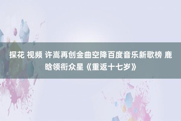 探花 视频 许嵩再创金曲空降百度音乐新歌榜 鹿晗领衔众星《重返十七岁》