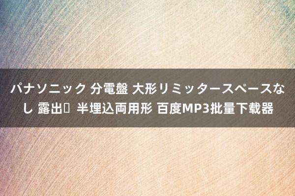 パナソニック 分電盤 大形リミッタースペースなし 露出・半埋込両用形 百度MP3批量下载器